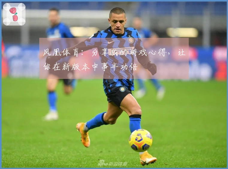 凤凰体育：分享我的游戏心得，让你在新版本中事半功倍